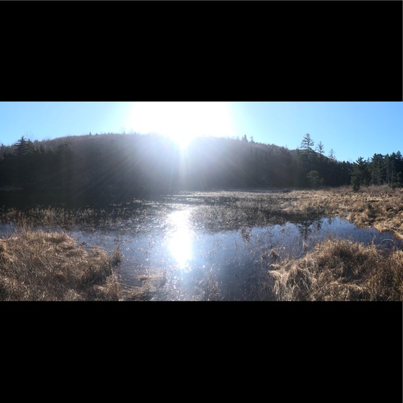 Meet your Posher, Tyler - Picture 1 of 1